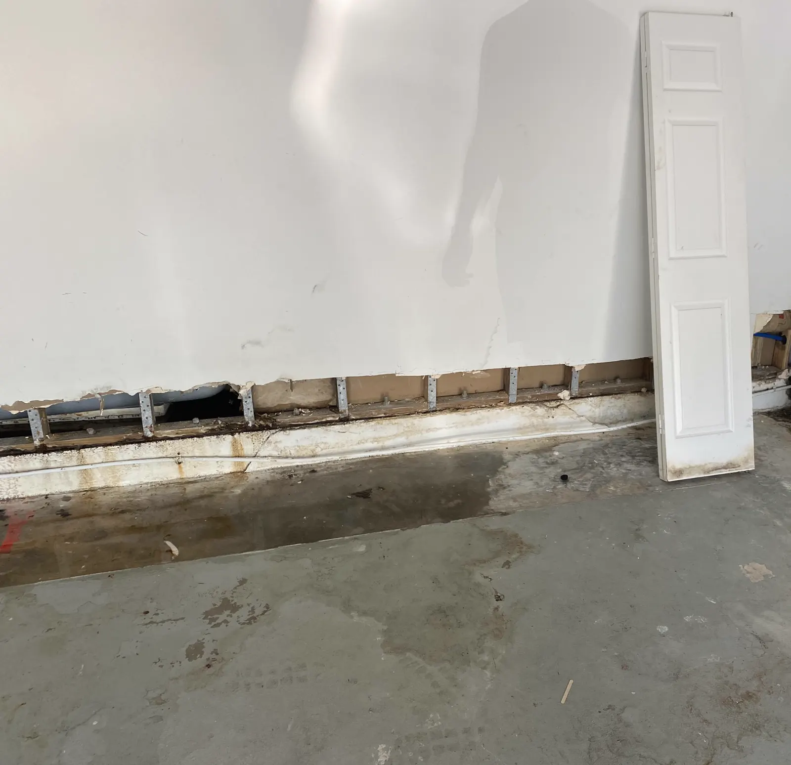 Drywall flood-cut along the base of a wall after a water loss, with flooring removed and a water-stained concrete slab