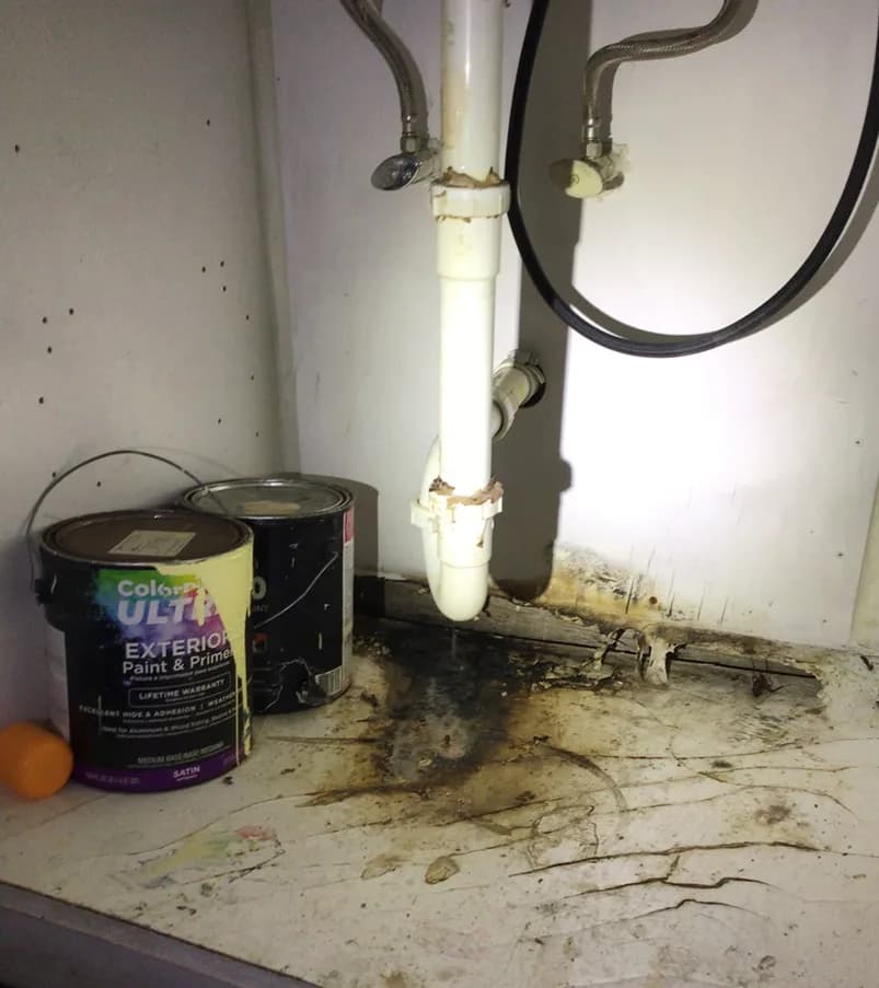 What To Do When Your Mold Claim Is Denied By The Insurance Company