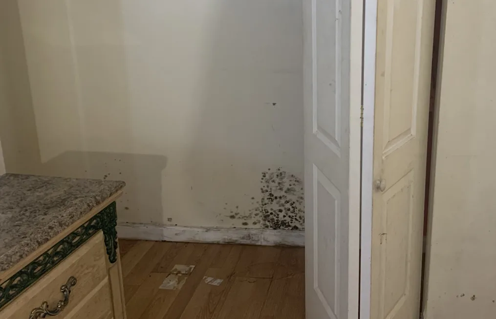 Is Mold Covered In Water Damage Claims