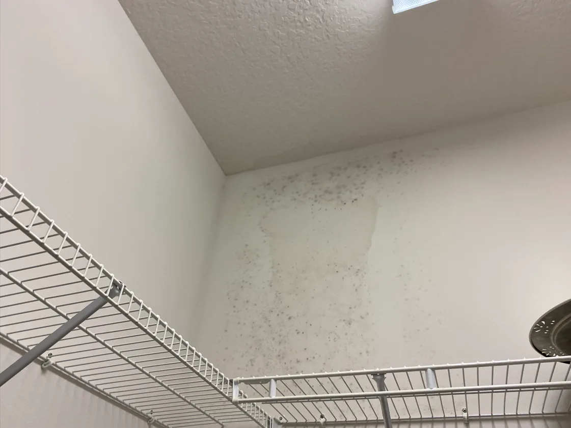 Professional Public Adjusting Firm For Water Damage Claims In Florida Area