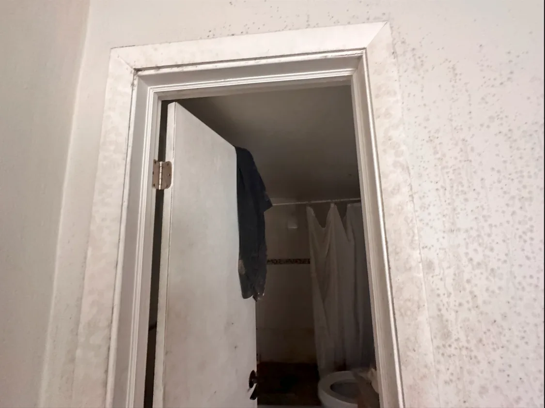 Effective Strategies To Maximize Claim Settlement For Vandalism