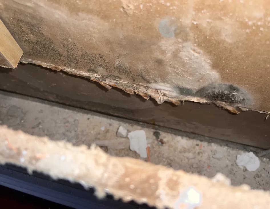 Here's How Our Public Adjusters Can Help