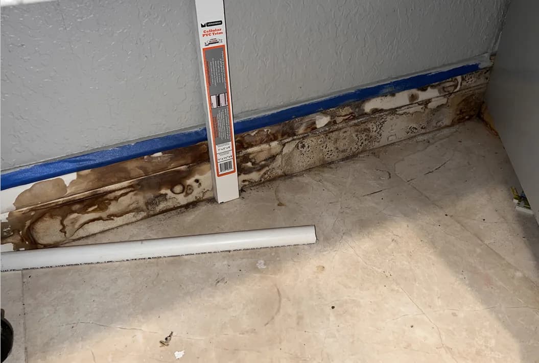 Public Adjusting Services: Guiding You Through Assessment To Mold Remediation