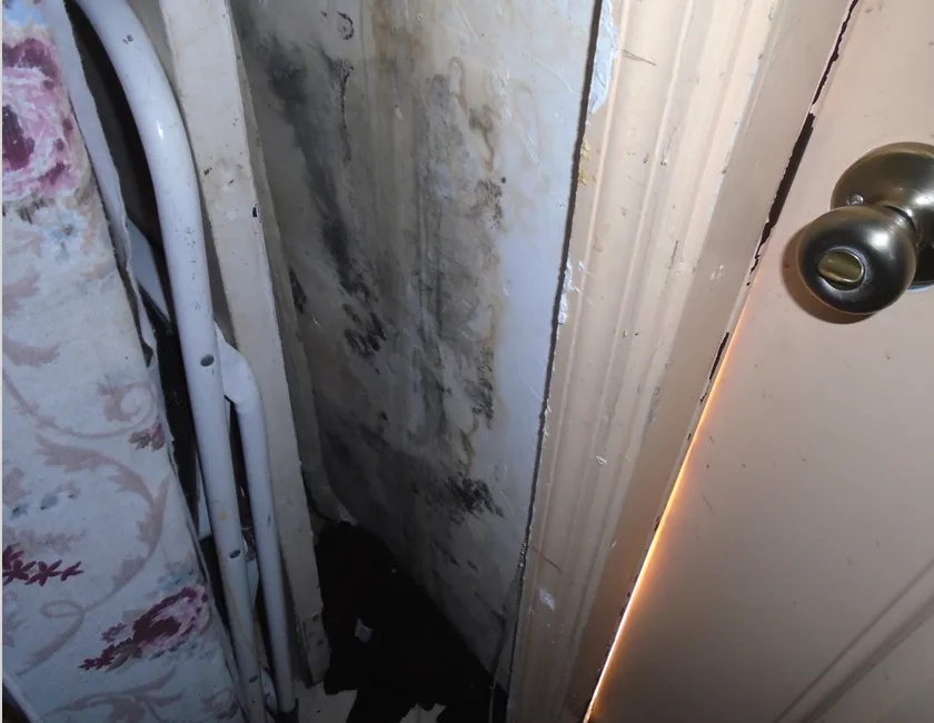 Does Homeowners Insurance Cover Mold Removal And Damages