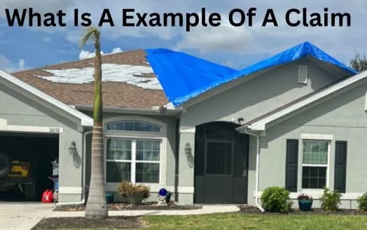 What Is A Example Of A Claim - Handling Argument About The Type Of Claim
