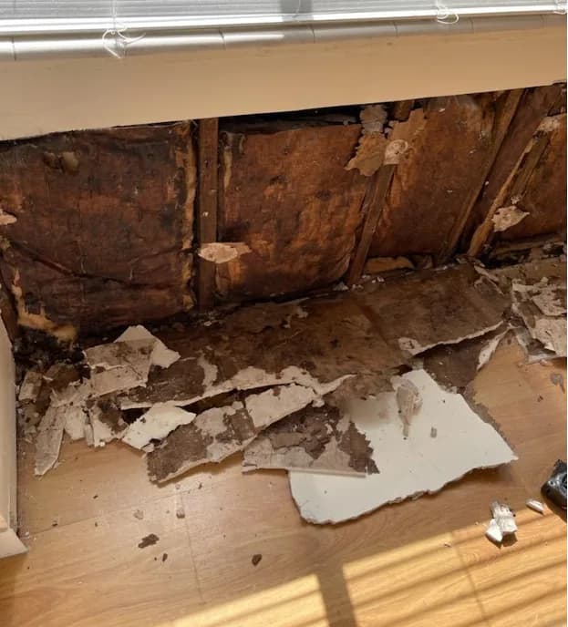 Expediting An Insurance Claim Process For A Residential And Commercial Property Damage