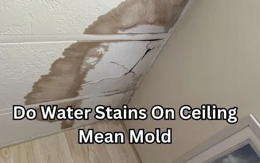 Do Water Stains On Ceiling Mean Mold - Understanding Signs Of Mold